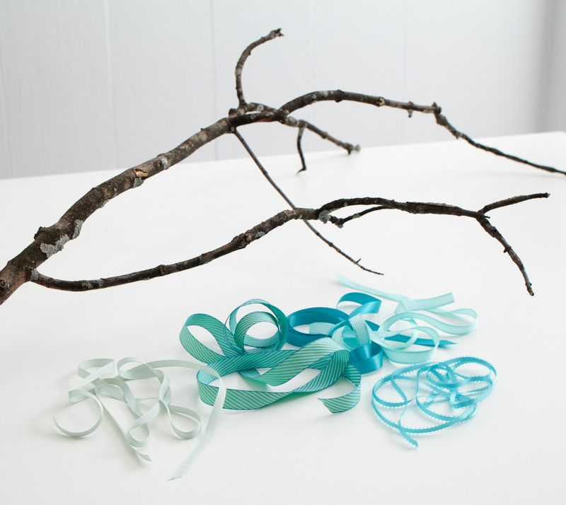 RibbonBranch_blog_1446