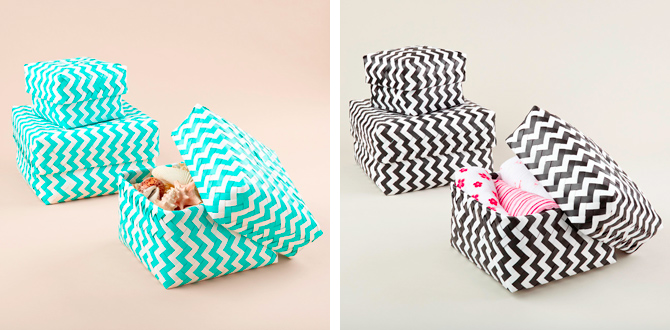 Chevron_4