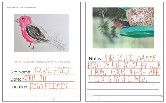 Field journal-01