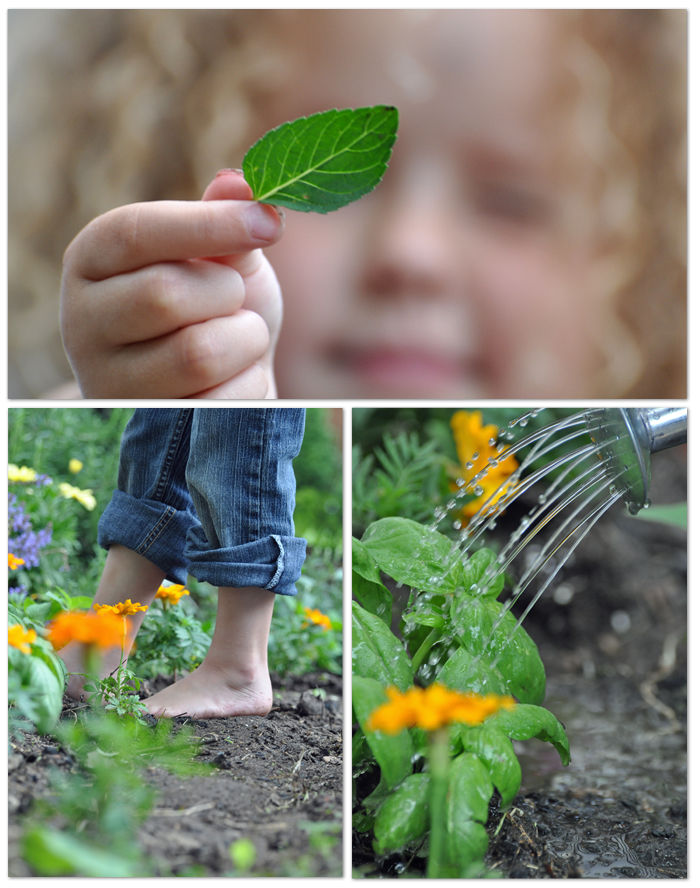 Garden - POSTED