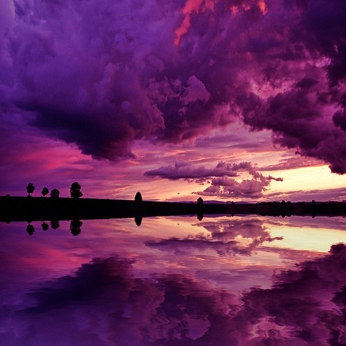 Purple 1