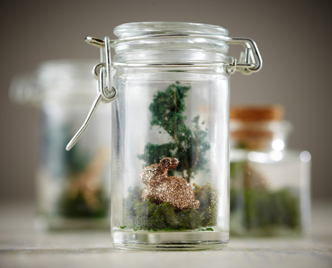 Blog_Mini_Forest_Final