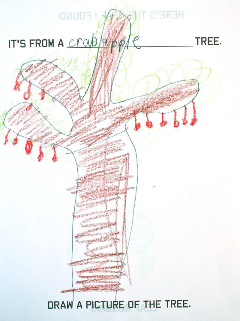 Leaf Journal 3