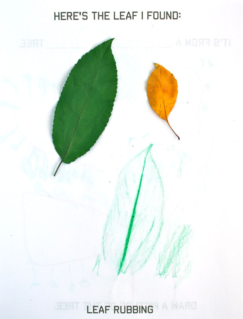 Leaf Journal 2