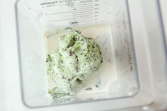 Minty Mint Chocolate Chip Milkshake 4