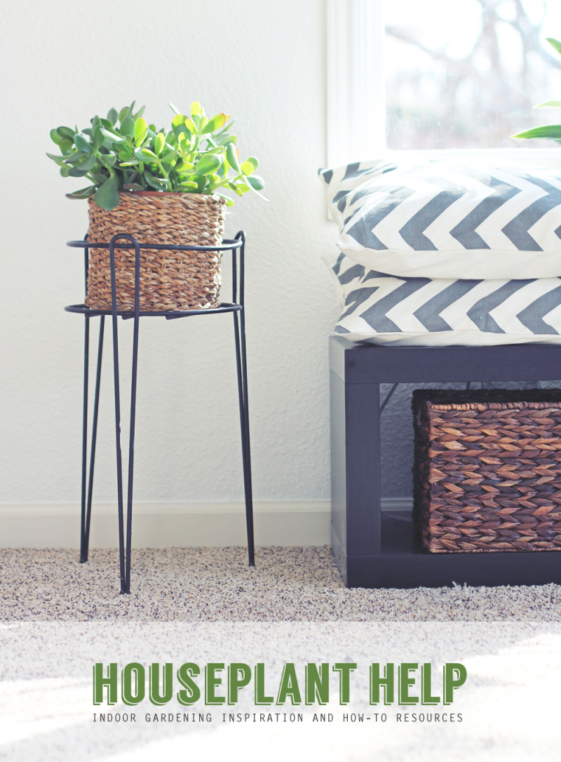 Indoorgardening11