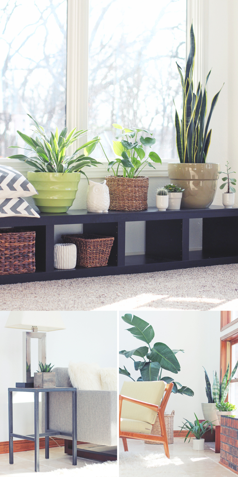 Indoorgardening2 (1)