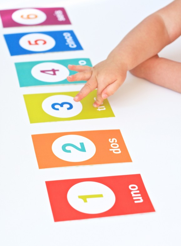 Spanish Flashcards For Toddlers