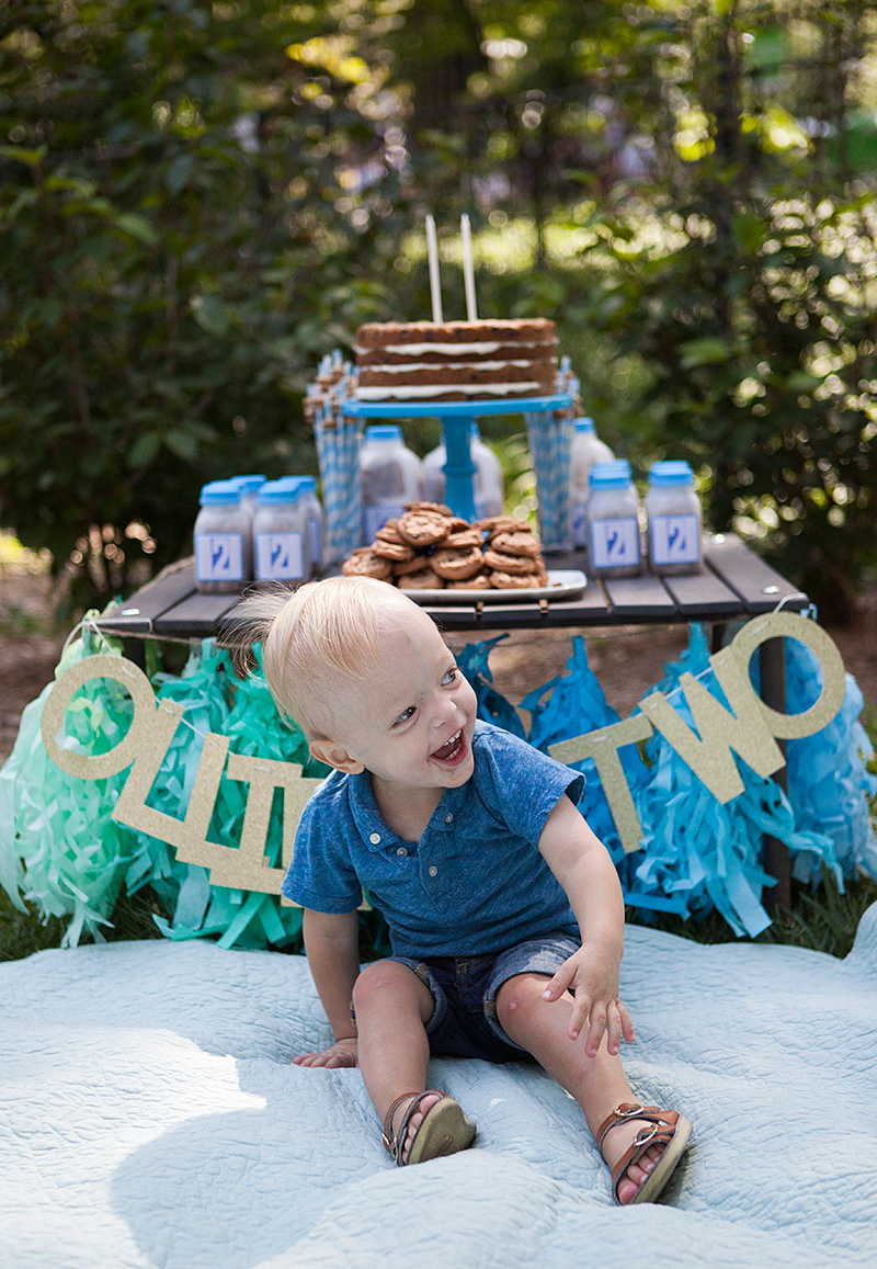 Milk and Cookies Birthday Party - 2nd Birthday