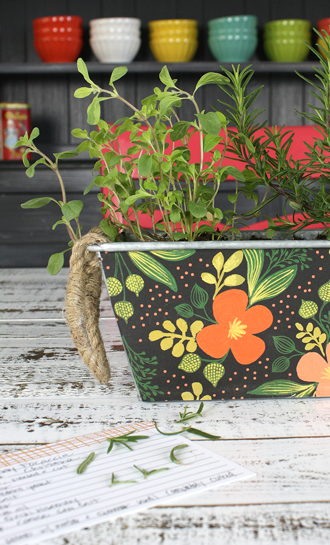 Herb Garden Centerpiece Crate&Kids Blog