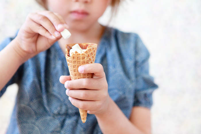 Autumn Campfire Cones Blog 8