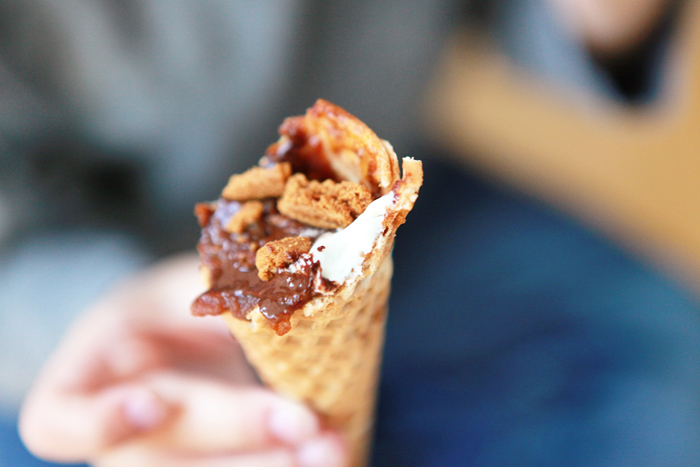 Autumn Campfire Cones Blog 9