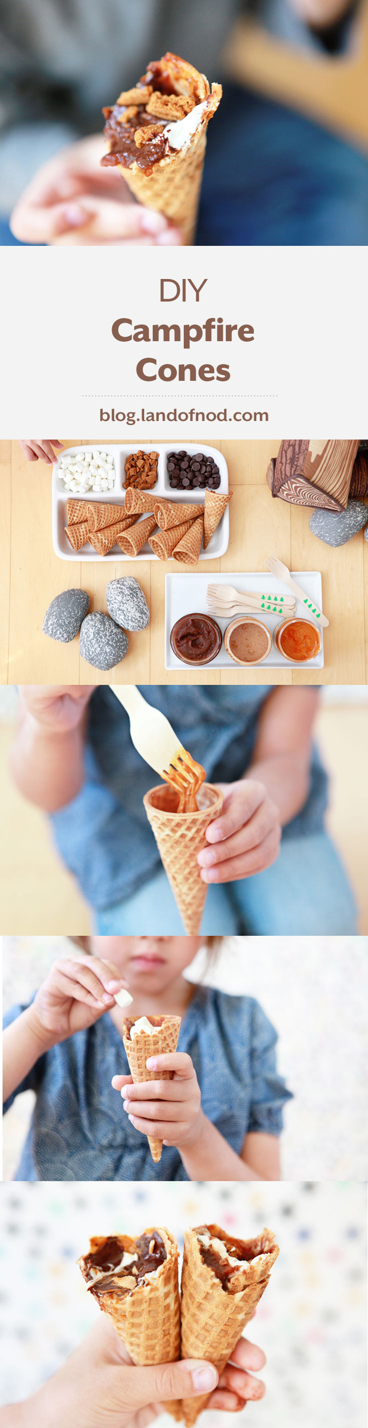 diy-campfire-cones-pinterest